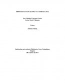 Un nuevo Analisis financiero propuestas costos y gastos