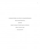 Arrendamiento Biológico como Solución a la Incapacidad Reproductiva