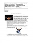 Articulo informativo sobre una Negociación