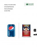 Gerencia estratégica ¿Cuál es su evaluación del atractivo a largo plazo de las en la cartera de negocios de PepsiCo?