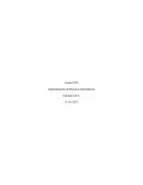 Como se da la Administración de Recursos Informáticos