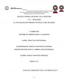 INFORME DE OBSERVACIÓN Y AYUDANTÍA CURSO: PRÁCTICA PROFESIONAL