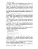 La Corrección de Estilo