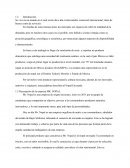 Integradora I UT Tijuana