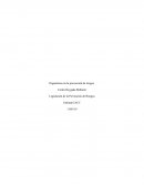 TAREA LEGISLACION Legislación de la Prevención de Riesgos