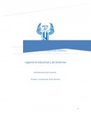 Ingeniería Industrial y de Sistemas Administración de Proyectos