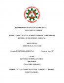 RETÍCULO ENDOPLASMATICO Composición química