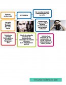 Relación Mente-Cerebro RELACIÓN DE LA MENTE Y EL CEREBRO - RESUMEN DE SUB TEMAS CAPÍTULO IX