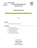 AUDITORÍA ADMINISTRATIVA APLICACIÓN DE LA AUDITORIA AMINISTRATIVA EN LA EMPRESA ILUMEL S.A