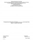 Como se da La agroecologia en venezuela