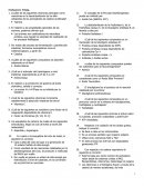 ¿Cuáles de las siguientes vitaminas participan como coenzimas en la descarboxilación de los alfa-cetoácidos de los aminoácidos de cadena ramificada?