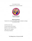 Reporte de práctica 1 Estudio de los conceptos de equilibrio químico mediante su analogía con un proceso físico