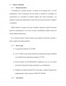 Impacto Ambiental Resumen Ejecutivo