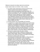 Celulas madre en los embriones