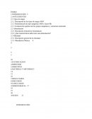 Alimentacion basada en tipos de sangre