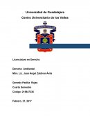 Actividad “La politica ambiental en Mexico”