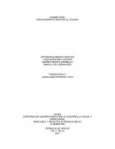 SOLUCION ATENCION AL CLIENTE EMPRESA:Great