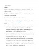 Signos Ortográficos El punto