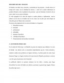 PLAN DE NEGOCIO helado