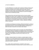 LA POLITICA AMBIENTAL
