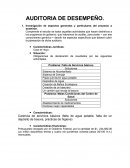 AUDITORIA DE DESEMPEÑO Caso el Hoyo