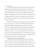 Investigacion de genero