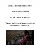 “Causas y efectos de la desnutrición en los indígenas mexicanos”