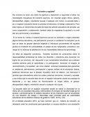 Ejemplo de la Inclusión y equidad