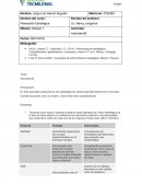 En esta actividad analizaremos las estrategias de varias empresas líderes en el mercado mundial actual así como su misión, visión entre otras características.