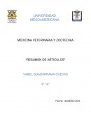 RENTABILIDAD DE LA PRODUCCIÓN DE CARNE DE OVINOS KATAHDIN X PELIBUEY CON TRES TIPOS DE ALIMENTACIÓN.