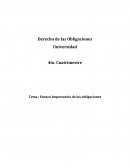 Tema : Ensayo Importancia de las obligaciones.
