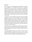 Analisis Campaña Publicitaria