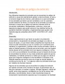 Ensayo de animales en peligro de extinción. Varias cosas para prevenir la extinción de las especies