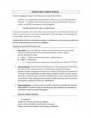 Como se da la Teoría del Proceso