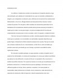 Ejemplo de la INTRODUCCION Mapa Mental Hardware