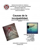 CAUSAS DE INCULPABILIDAD MINISTERIO DEL P.P. PARA LA EDUACIÓN SUPERIOR