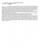 Si las aberturas de las novelas deben contar con unos notarios ingredientes estilísticos.