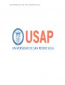 Teorías de la comunicación ¿Como deberían ser los medios ?