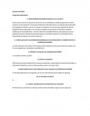 Canchas de futbol ensayo