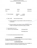 Ciencia del espíritu: eran ciencias en donde se estudiaba la unión al objeto. Se estudiaban los fenómenos sociales, culturales.