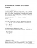 Problemario de Sistemas de ecuaciones lineales