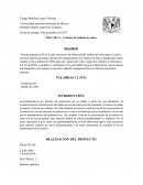 Secado de una zanahoria (proceso de secado)