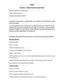 Describa brevemente la organización que realizan los entrenadores para iniciar la jornada