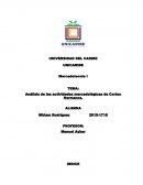 Mercadotecnia 1 final Análisis de las actividades mercadológicas de Cortes Hermanos.