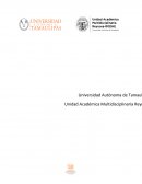 Ensayo de Eutanasia. Opinion propia