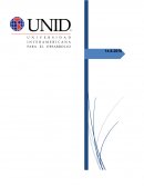 Proyecto plan de negocios