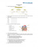 TALLER GRADO SEPTIMO