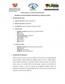 INFORME DE CASO DE NEUMONÍA PROCEDENTE DEL DISTRITO DE COMAS