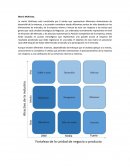 Matriz McKinsey ensayo