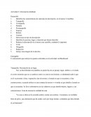 Identifica las características de cada tipo de descripción, en al menos 2 cuartillas: Evidencia 1